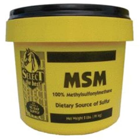 RICHDEL 073579 Select Methylsulfonylmethane Powder - 2 Pound